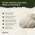 Shilajit Resin  - Shiajit Resin - Testosterone Booster - Fulvinezuur -Thrive Supplements